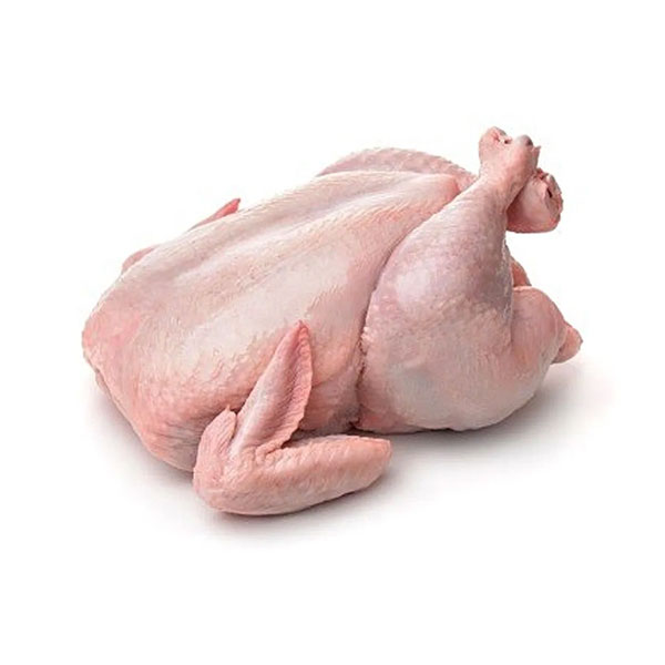 Ayam Segar 肉鸡 1.8kg+